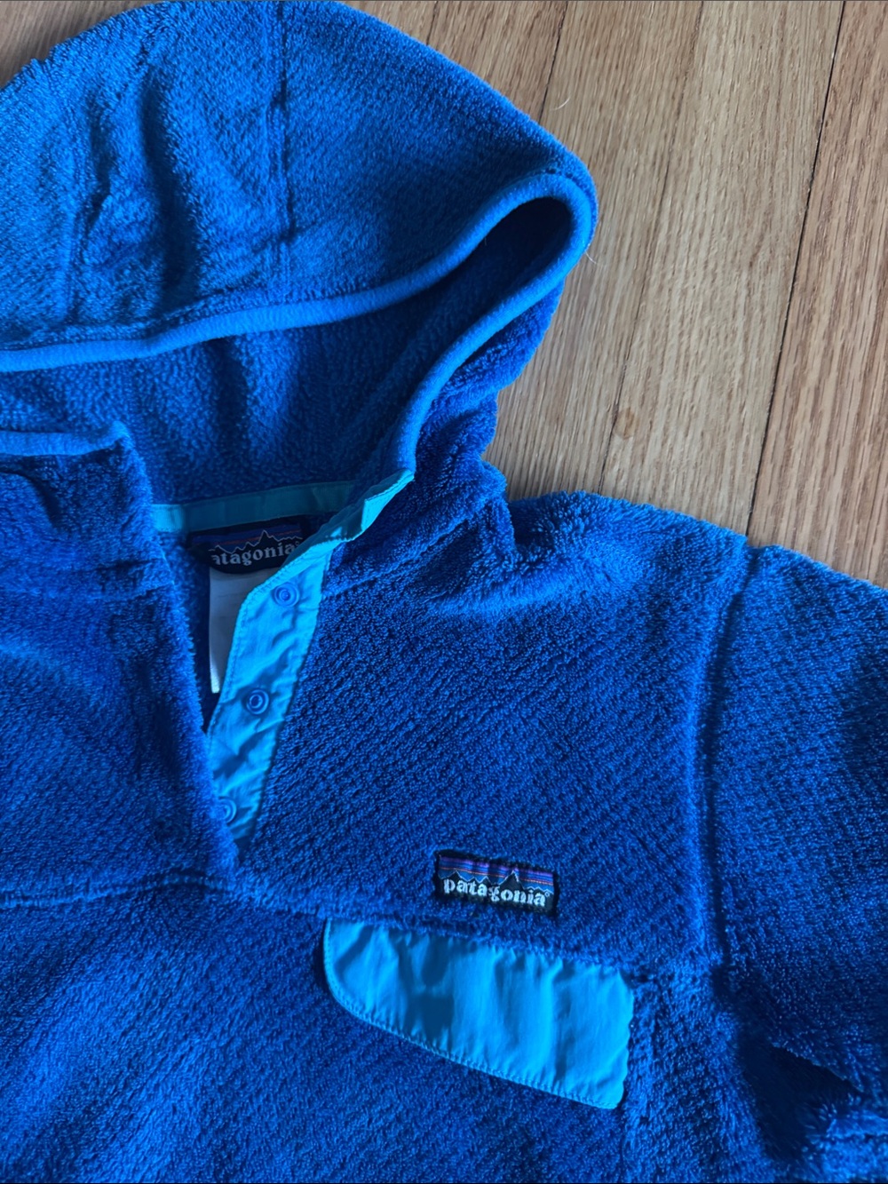 Patagonia hooded fleece